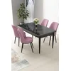 Hanah Home Set Trpezarijski sto i 4 stolice Nil, Crno-roze
