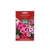FLORIS cveće Turski karanfil 0.3 g