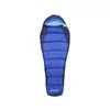 Sleeping bag Coleman Fision 100