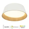 LED plafonska lampa FK2003-62C WH