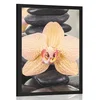 Plakat rumena orhideja in Zen kamni - 20x30 silver