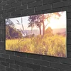 tulup.si Slika na akrilnem steklu Grass tree travnik narava 120x60 cm 4 obešalnika