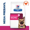 Hill’s Prescription Diet Dog Gastrointestinal BIOM 10kg 3+1 GRATIS