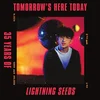 Lightning Seeds - Tomorrows Here Today (2 LP)