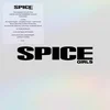 Spice Girls - The Singles Collection (Limited Edition) (Box Set) (14 CD)