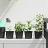 Okrugla saksija za cveće 50 pcs Crna O 10 x 8 cm Plastika