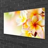 tulup.si Slika na akrilnem steklu Cvetovi rastlin narava 120x60 cm 2 obešalnika