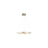 Paul Neuhaus 2382-60 - LED prigušiva luster na sajli TITUS LED/38,5W/230V