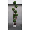 Lilium stablo 8 lopti 170cm 875723
