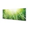 tulup.si Slika na akrilnem steklu Grass sonce kapljice 140x70 cm 2 obešalnika