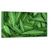 shumee Rezalna ploa steklene ploe 52x30 listov