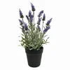 Umetna sivka v loncu 45 cm - 25 do 50 cm