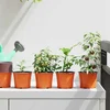 Okrugla saksija za cveće 50 pcs Terakota O 10 x 8 cm Plastika