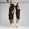 Mens Puma Essentials No. 1 Logo Jersey 10 Shorts, Black, Size 3XL, Clothing