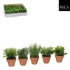 Biljka u saksiji zelena 5 vrsta display - h18xd7cm dsy15