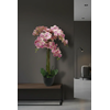 Umetna orhideja roza 100cm Grace Real touch - roza - 76 do 100 cm - 51 do 70 cm