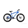 Mammut 24 inca 7 brzina plavi 16 - Fat Bike