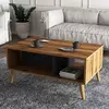 Hanah Home Klub sto Exxen 90x54x41,6cm Orah