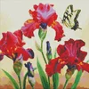 Rayher. Diamantni mozaik, Exquisite irises, 40x40 cm