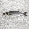 Brancin, neočiščen, 300-400 g, svež