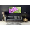 tulup.si Slika na akrilnem steklu Orhideja orhideje 140x70 cm 2 obešalnika