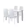 Jedilni set Nolen 4+1 bela