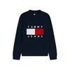 Tommy Jeans Pulover temno modra/rdeča/bela