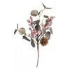 Lilium grana roze biseri  32cm 584711