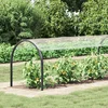 Pokrov za biljke *Transparent*an 10 x 1,5 m PVC