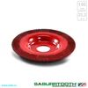 Disk rašpa O100mm za žljebove