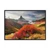 shumee PLAKAT V OKVIRJU 43x33 cm Švica P937