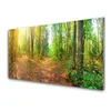 tulup.si Steklena slika Narava gozdnega drevja 140x70 cm 4 obešalnika
