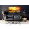 tulup.si Slika na akrilnem steklu Sončnice travnik flowers 140x70 cm 4 obešalnika
