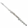 Flavta PS 705 BEF Aurumite Sonare Powell