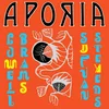 Sufjan Stevens & Lowell Brams Aporia (Vinyl LP)