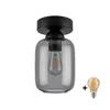 BRILAGI - LED plafonsko svetlo R GLASS 1xE27/60W/230V prečnika 14 cm crna/zadimljena siva