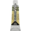 Rembrandt Professional Watercolour Paint 10 ml Sparkle Green