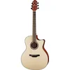 CRAFTER HG-250CE/N