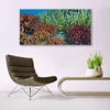 tulup.si Slika na steklu Barrier reef narava 140x70 cm 4 obešalnika