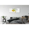 tulup.si Slika na steklu Voda citrus 140x70 cm 4 obešalnika