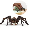 Schleich SLH13987 Schleich Harry Potter - Pajek Aragog, figura za otroke od 6. leta naprej