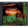 Jah Thomas & The Roots Radics - Prophecy Of Dub (LP + CD)