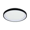 Brilagi -LED prigušiva plafonska svetiljka FALCON SLIM LED/42W/230V prečnik 50 cm crna + daljinski upravljač