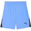 Puma Kratke hlače teamLIGA26