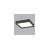 LED2 - LED plafonsko svetlo MILO LED/30W/230V crno 3000/4000K