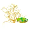 Lucky Reptile Desert Bushes Beljen približno 15-20 cm