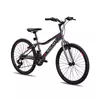 Galaxy Bicikl galaxy festina 24/18 siva/crna/roza mat ( 650243 )
