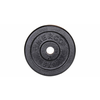 Disk za hante z jekleno utežjo 2 kg