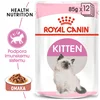 Royal Canin | Cat Kitten hrana za mladiče v omaki