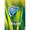 Koledar stenski trimesečni vtisi narave 2027 eg